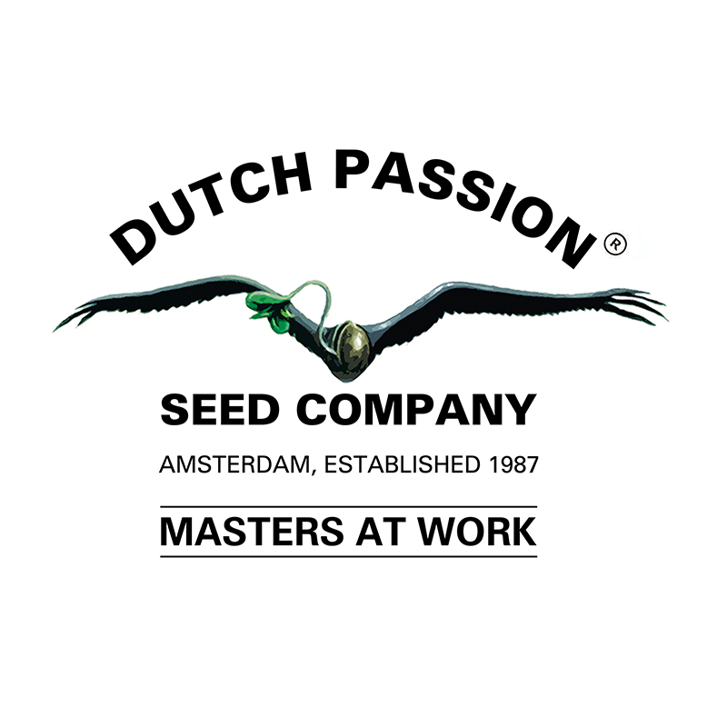 Semillas Dutch Passion