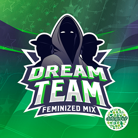 Dream Team Feminized Mix