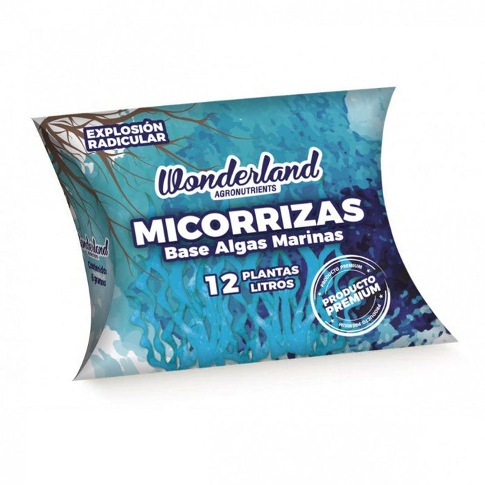 Micorrizas - Wonderland